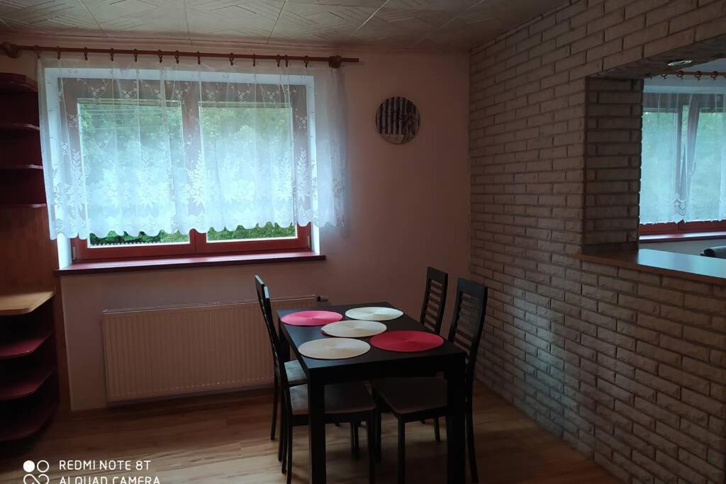 Ubytovani Pod Statkem Tichá Kültér fotó