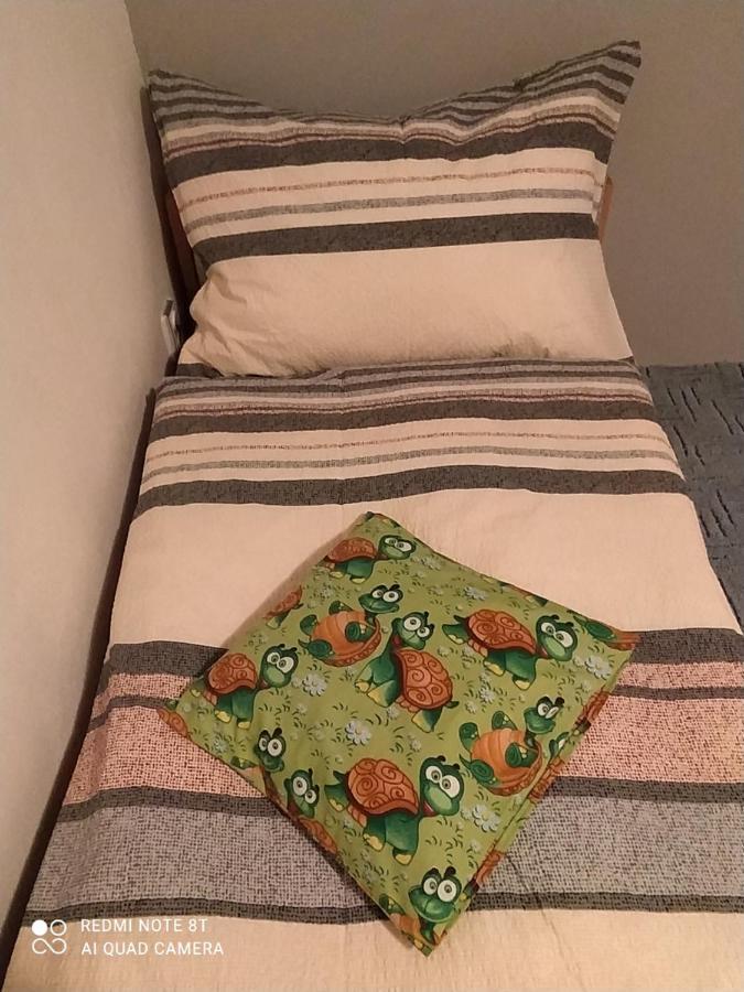 Ubytovani Pod Statkem Tichá Kültér fotó